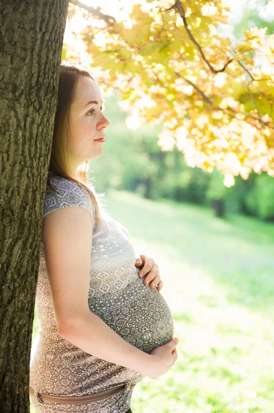 Hermosa mujer embarazada en el parque — Foto de Stock