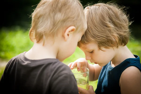 Dos chicos están considerando algo en un vaso. — Foto de Stock