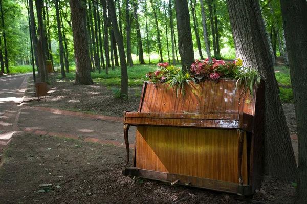 Piano in het park — Stockfoto