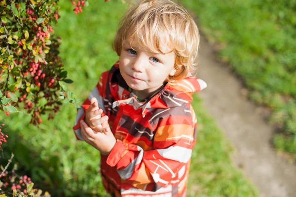 Junge im Herbstpark — Stockfoto