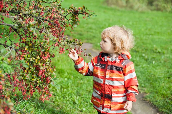 Niño en el parque de otoño — Foto de Stock