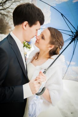 Gelin ve damat kışın Park