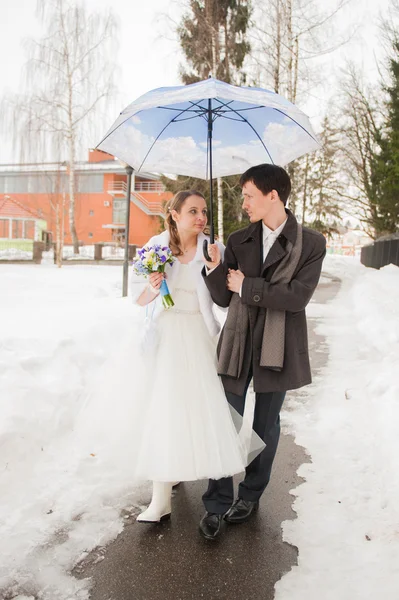 Bruden och brudgummen i parken i vinter — Stockfoto