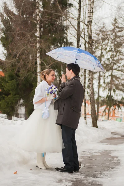 The bride and groom in the park in winter — Stock Photo, Image