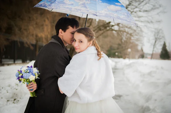 The bride and groom in the park in winter — Stock Photo, Image