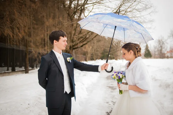 Bruden og brudgommen i parken om vinteren - Stock-foto