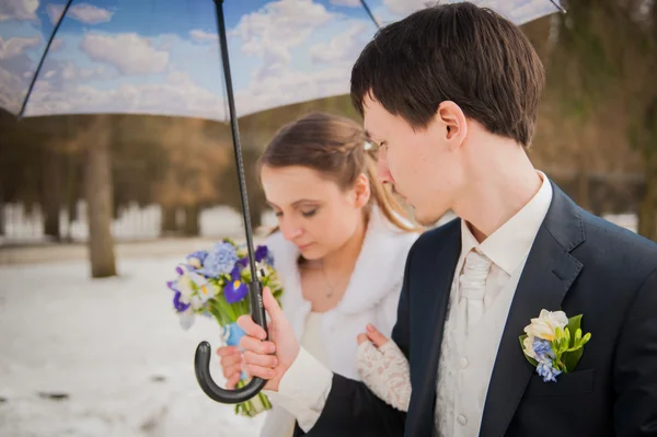 The bride and groom in the park in winter — Stock Photo, Image