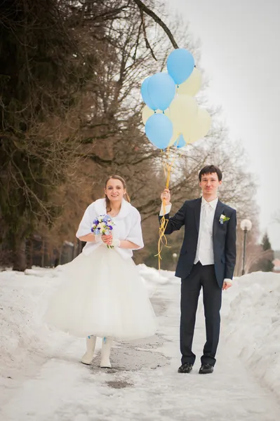 The bride and groom in the park in winter — Stock Photo, Image