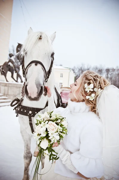 Piękna panna młoda z konia w winter park — Zdjęcie stockowe