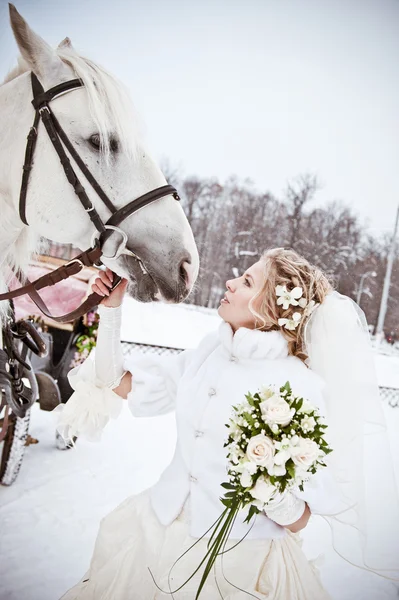 The beautiful bride with a horse in a winter park — Stock Photo, Image