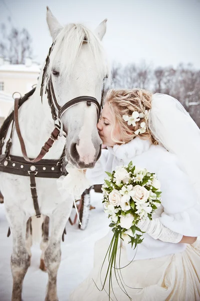 bir atı bir kış parkta güzel gelin
