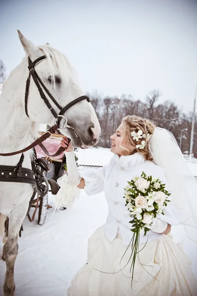 bir atı bir kış parkta güzel gelin