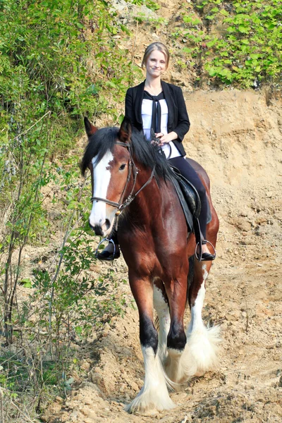 Ragazza e cavallo . — Foto Stock