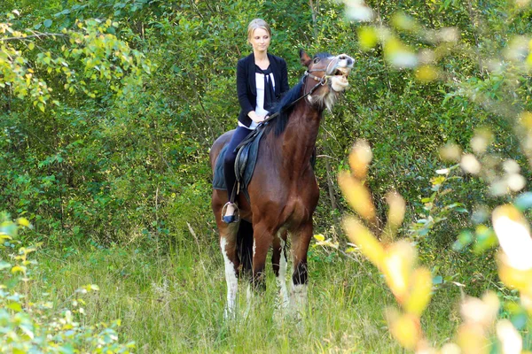 Ragazza e cavallo . — Foto Stock