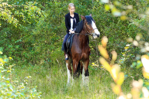 Menina e cavalo . — Fotografia de Stock