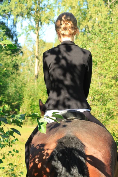 Meisje en paard. — Stockfoto