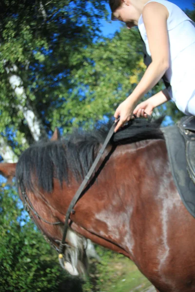 Meisje en paard. gefotografeerd door een lens het Zenit. — Stockfoto