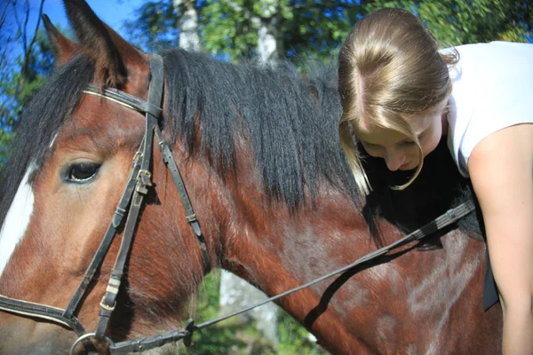 Rapariga e cavalo. Fotografado por uma lente o Zenith . — Fotografia de Stock