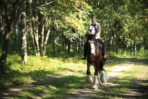 Lány és a ló. fényképezte a lencse a Zenit. — Stock Fotó