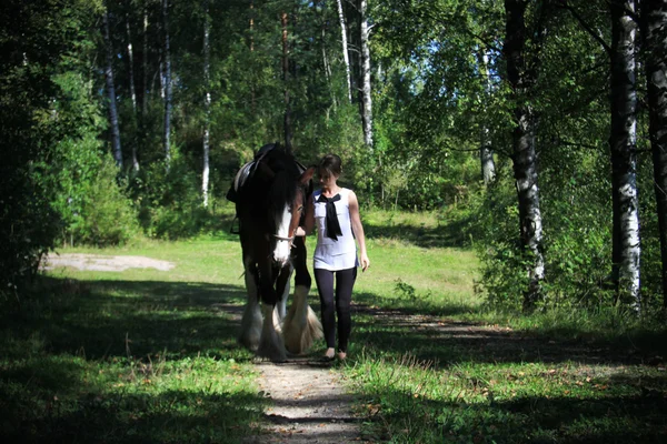 女孩和马。由一个镜头拍摄的顶峰. — 图库照片