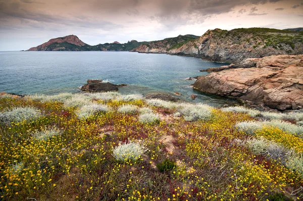 Corsica coastline — Stock Photo, Image