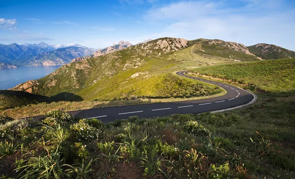 Road - Corsica — Stock Photo, Image