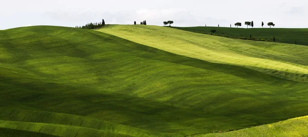 Toscana — Stockfoto