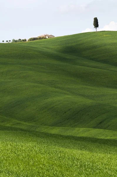 Toscana — Foto de Stock