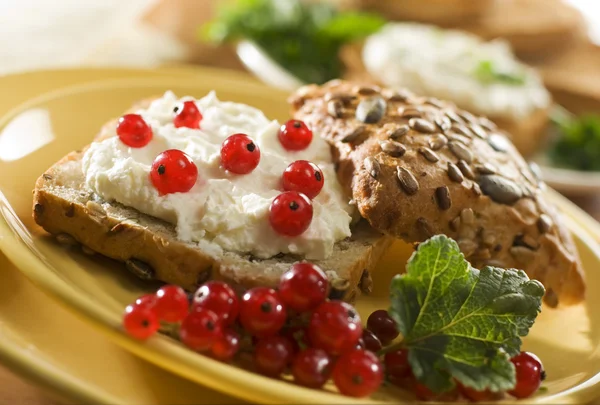 Curd with bread — Stock Photo, Image