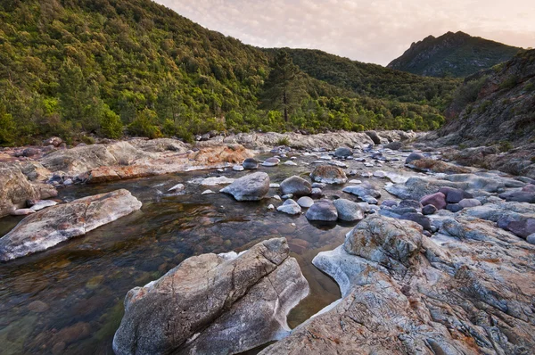 Řeka na Korsice — Stock fotografie