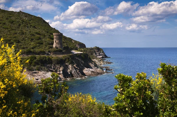 Tour de l'Osse - genoese towers — Stock Photo, Image