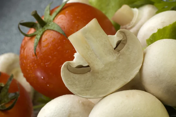 Mushroom — Stock Photo, Image