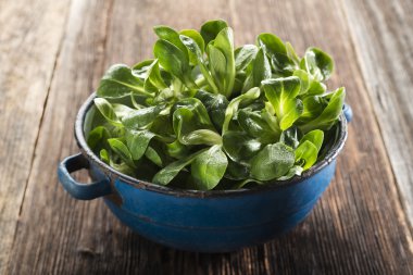 salata