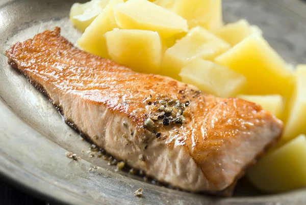 Salmon — Stock Photo, Image