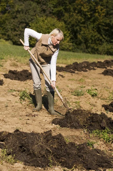 Trädgårdsarbete — Stockfoto