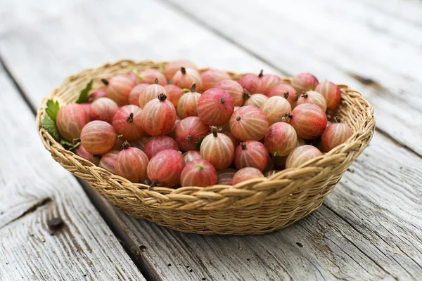 Gooseberry — Stock Photo, Image