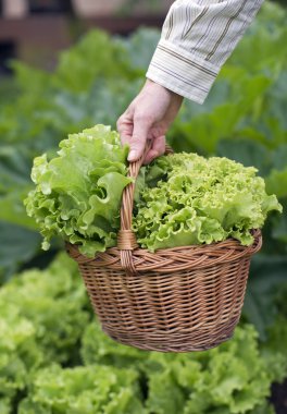 salata