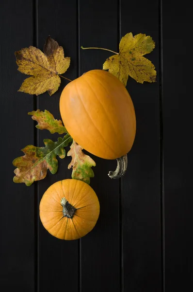 Calabaza — Foto de Stock