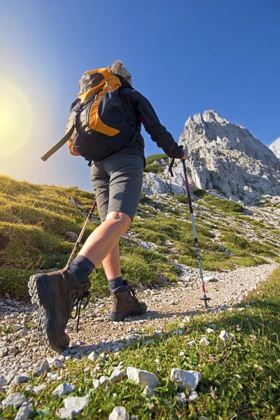 Hiking — Stock Photo, Image