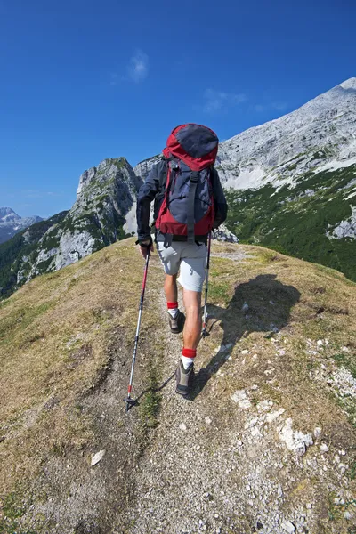 Wandelen — Stockfoto