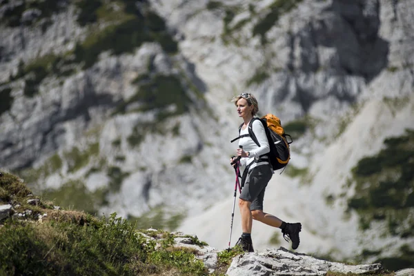 Wandelen — Stockfoto