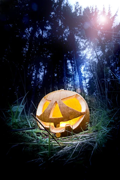 Abóbora de Halloween — Fotografia de Stock