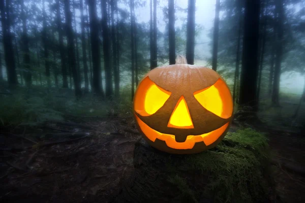 Zucca di Halloween — Foto Stock