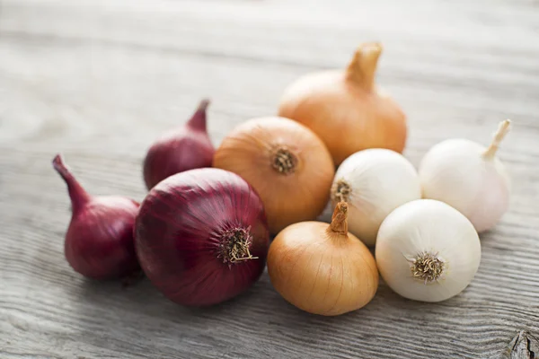 Onions — Stock Photo, Image