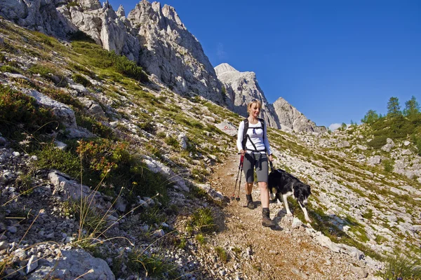 Wandern mit Hund — Stockfoto