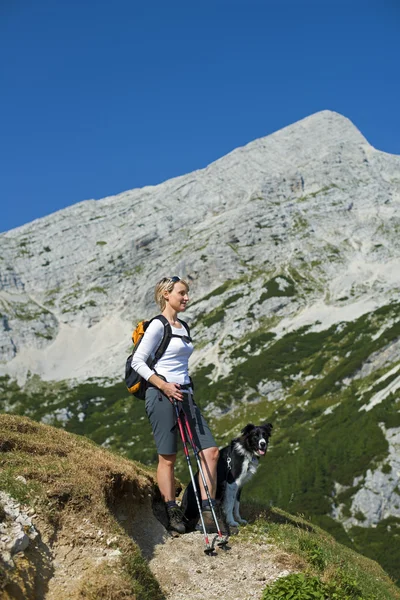 Randonnée avec chien — Photo