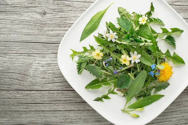 Gesunde Frühjahrspflanzen Als Nahrungsbestandteil Löwenzahn Bärlauch Blumen Und Brennnessel Hintergrund — Stockfoto