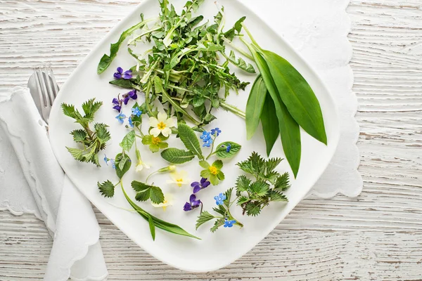 Sane Piante Primaverili Gli Ingredienti Alimentari Tarassaco Aglio Selvatico Fiori — Foto Stock