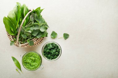 Bahar sağlıklı yiyecekler. Gri arka planda sağlıklı yemek için ısırgan otu ve Ramson pesto