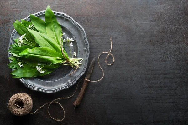 Bunch Fresh Wild Garlic Leaves Grey Table Closeup — Stock Photo, Image